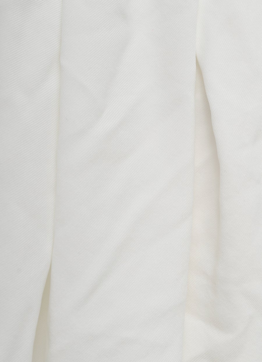 Wide Pants with Pleats