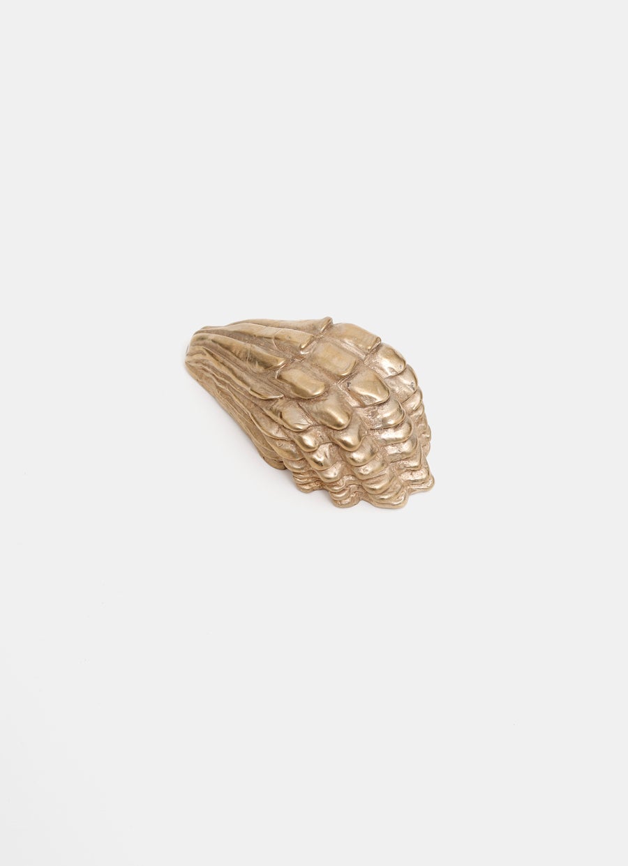 Oyster Candle Holder