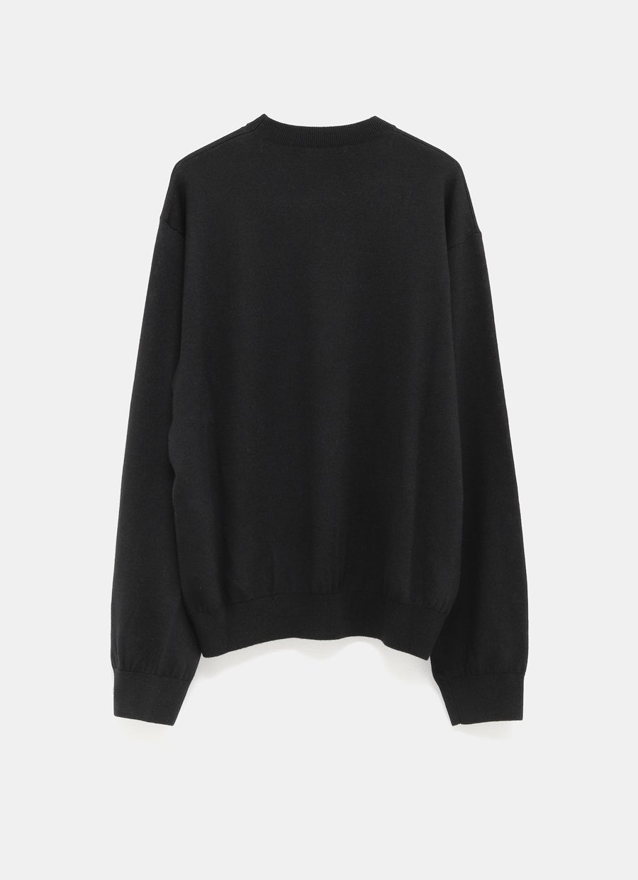 Crewneck Sweater for Men