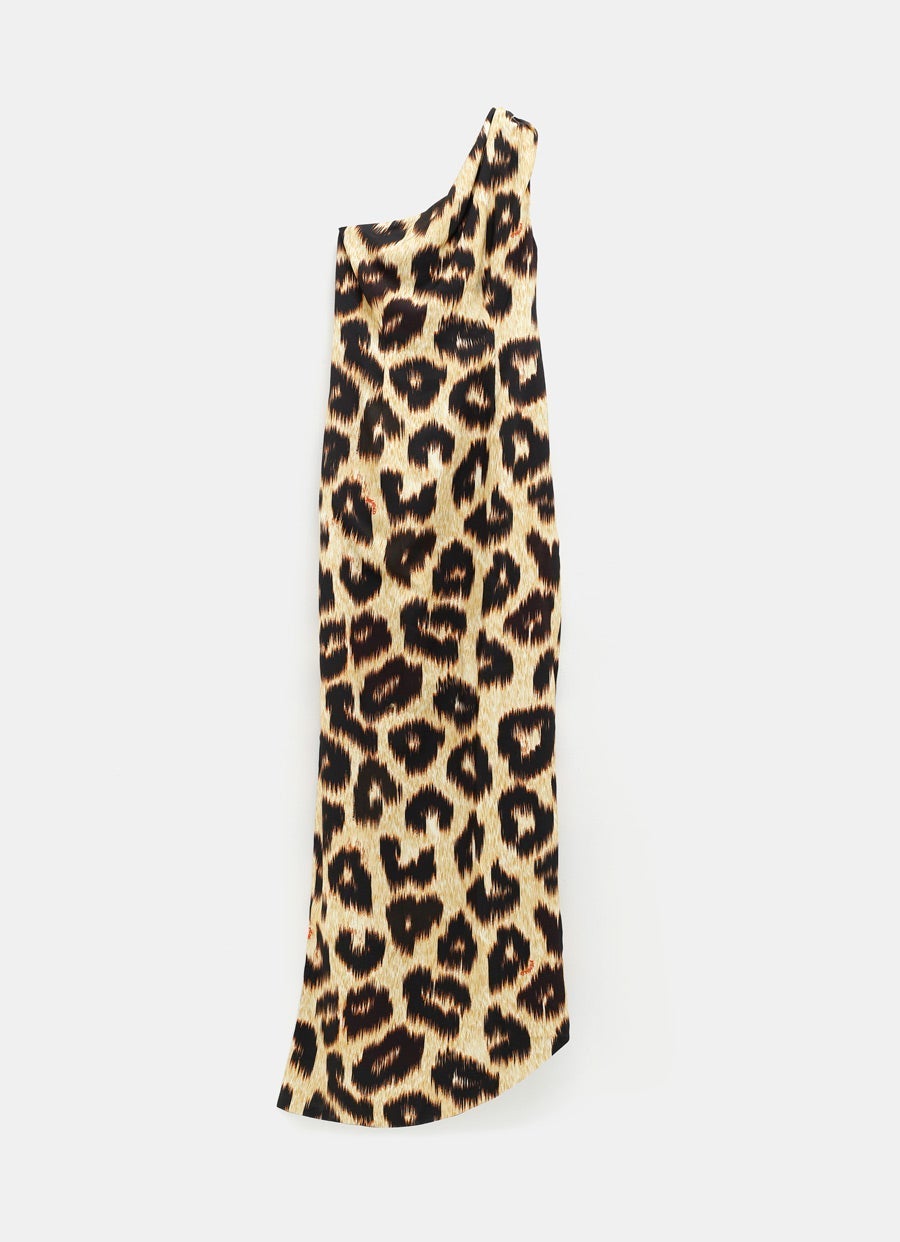 Leopard Print Maxi Dress