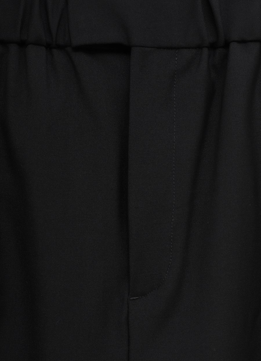 Light Wool Wide Leg Pants