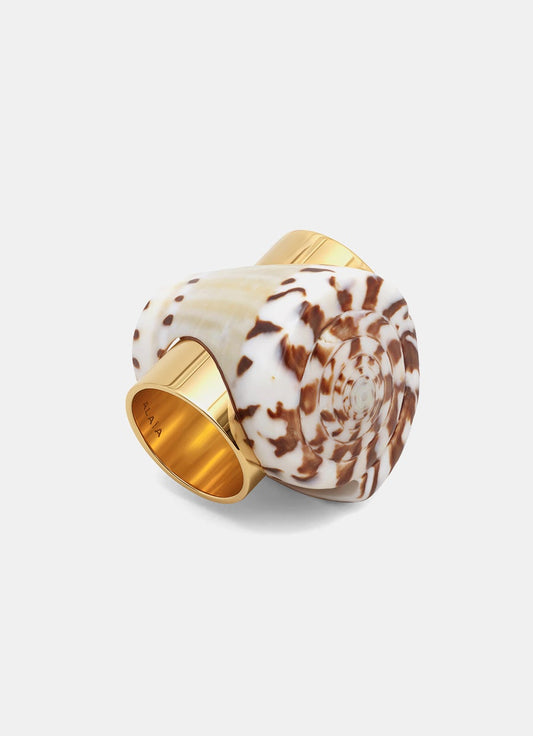 Shell Ring