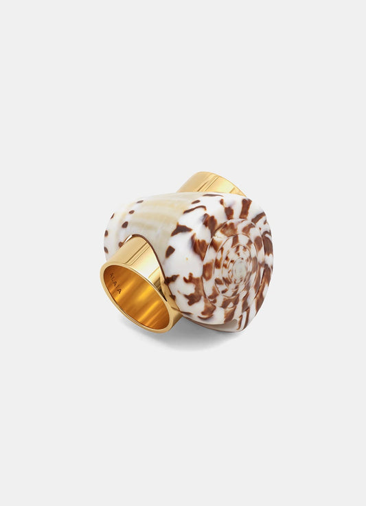 Shell Ring