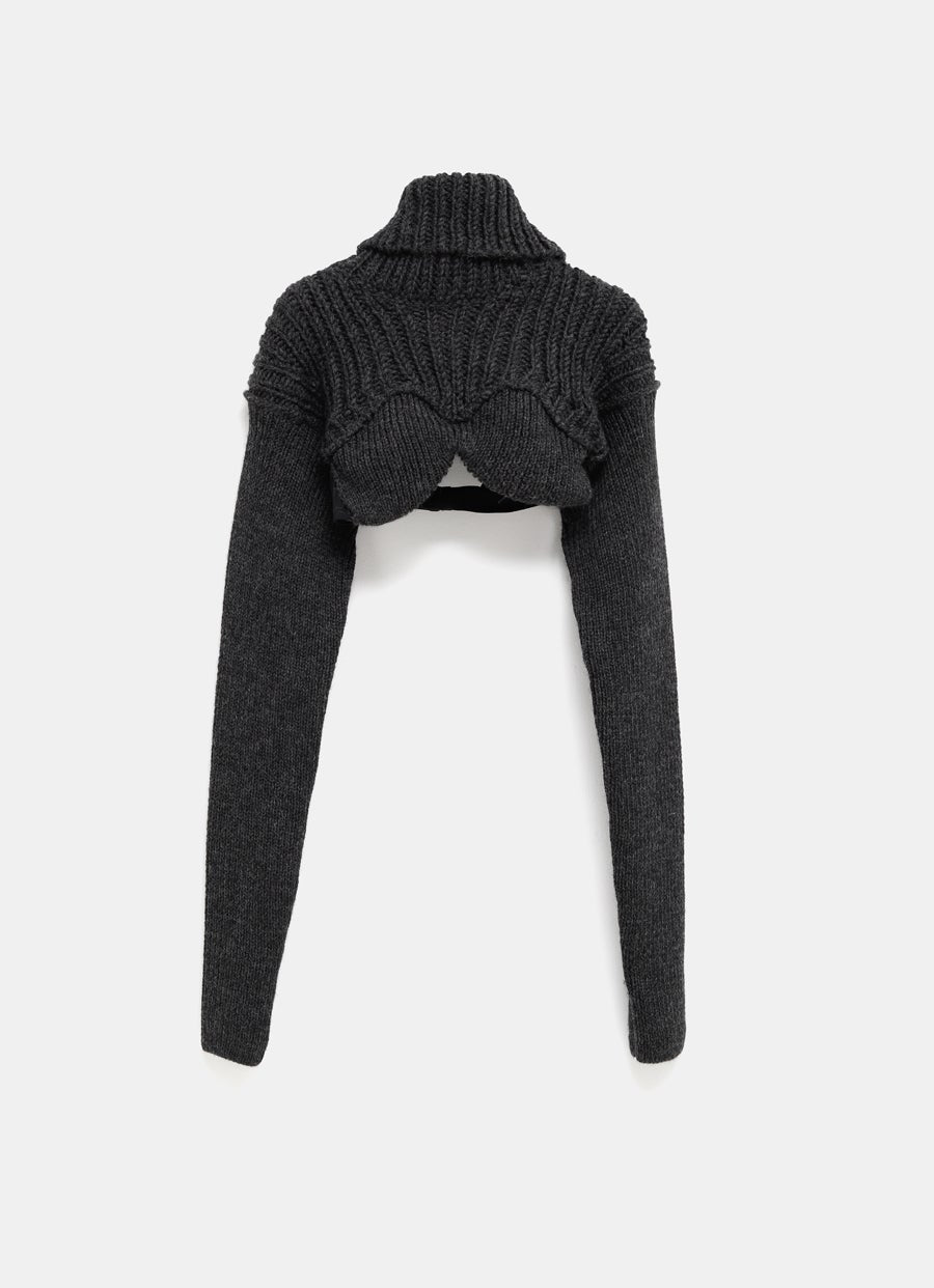 Cropped High Neck Knit