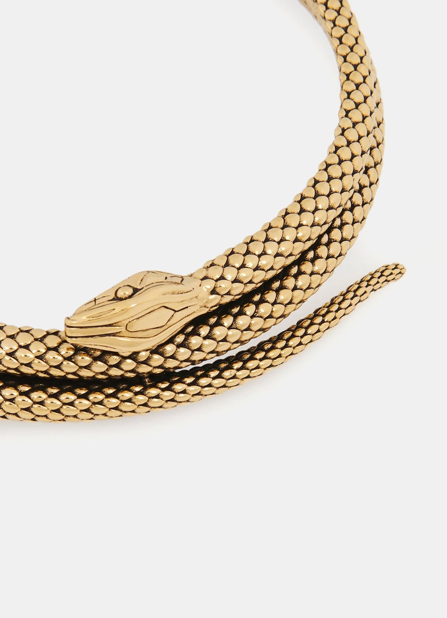 The Chloé Snake Choker