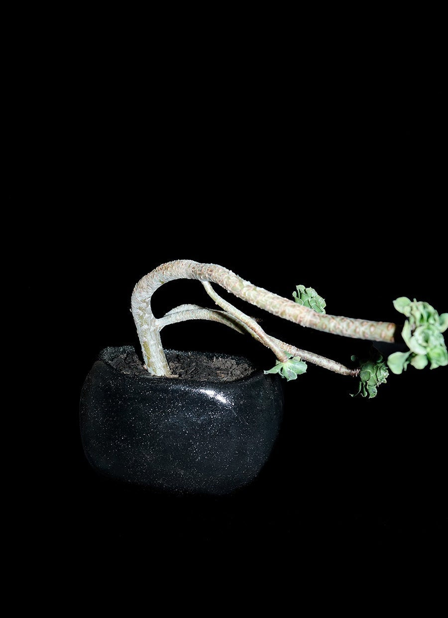 Anaphi Ceramic Vase 6