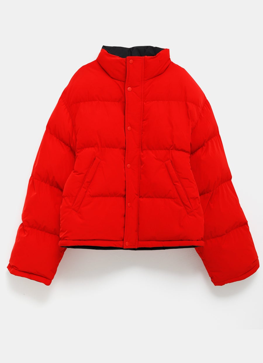 Reversible Puffer