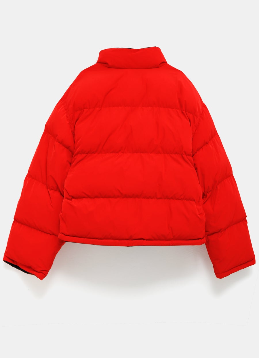 Reversible Puffer