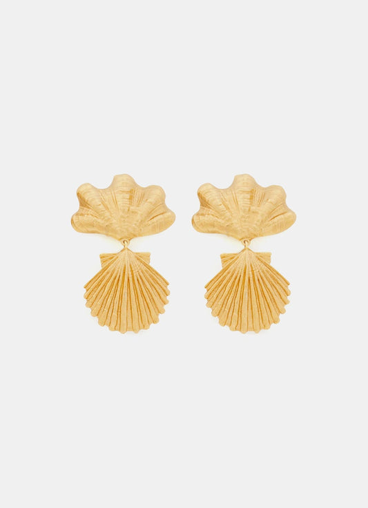 Shells Earrings