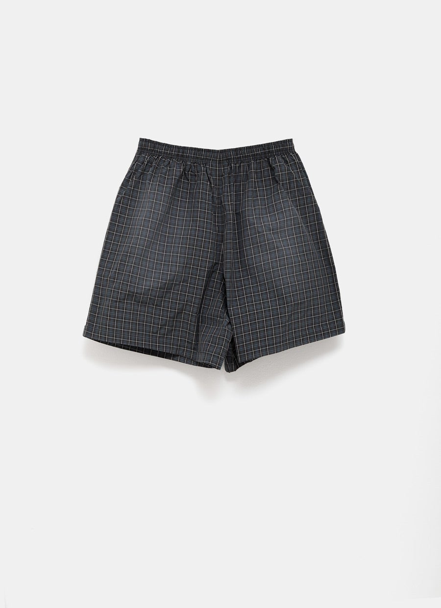 Check Boxer Swim Shorts