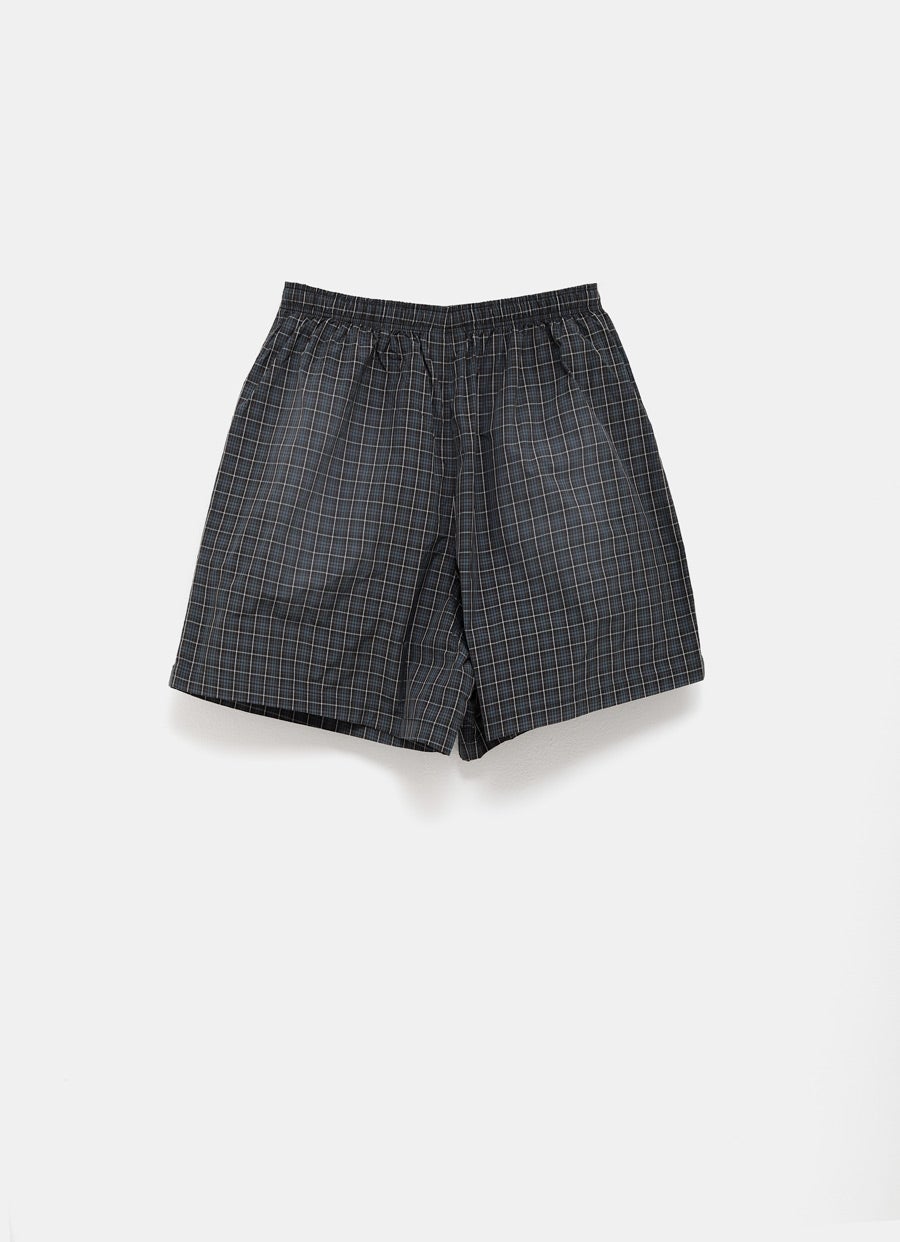 Check Boxer Swim Shorts