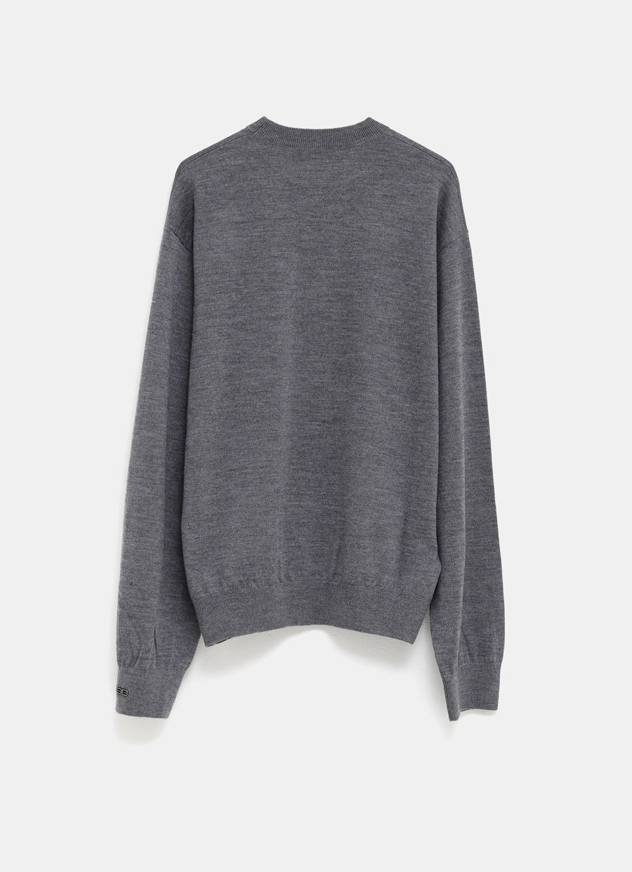 Crewneck Sweater for Men